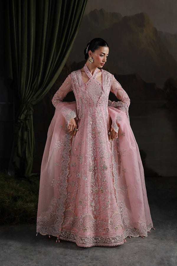 BLUSH REVERIE  - QALAMKAR