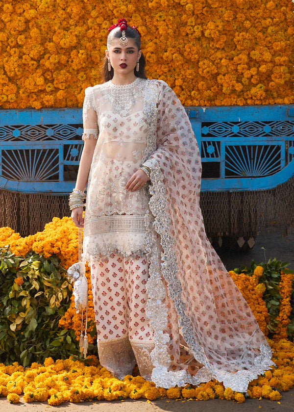 Zareen- Hussain Rehar